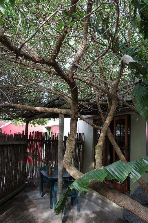 Cape Agulhas Backpackers Hostel สตรุยส์บาย ภายนอก รูปภาพ