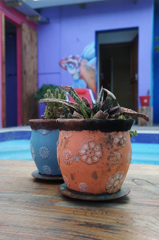 Cape Agulhas Backpackers Hostel สตรุยส์บาย ห้อง รูปภาพ