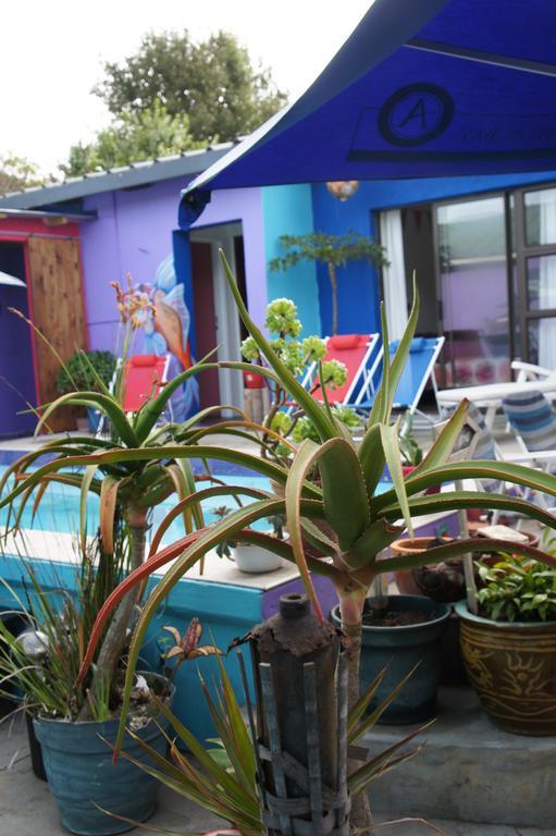 Cape Agulhas Backpackers Hostel สตรุยส์บาย ห้อง รูปภาพ