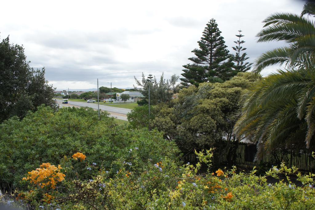 Cape Agulhas Backpackers Hostel สตรุยส์บาย ห้อง รูปภาพ